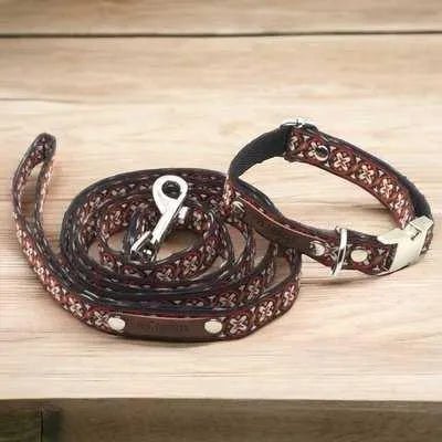 Finnigan's Bespoke Pup Collar Set-0